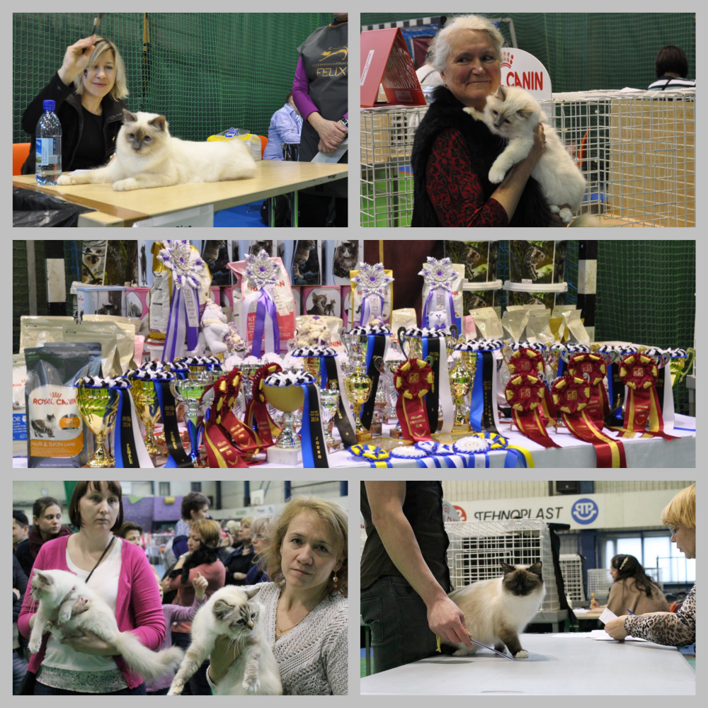 PBET_21-22.02.15Collage